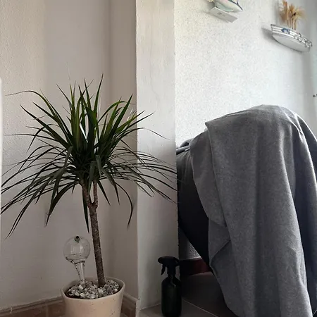 La Casa De Mi Madre - Cosy 1 Bed Flat In Centre Διαμέρισμα *